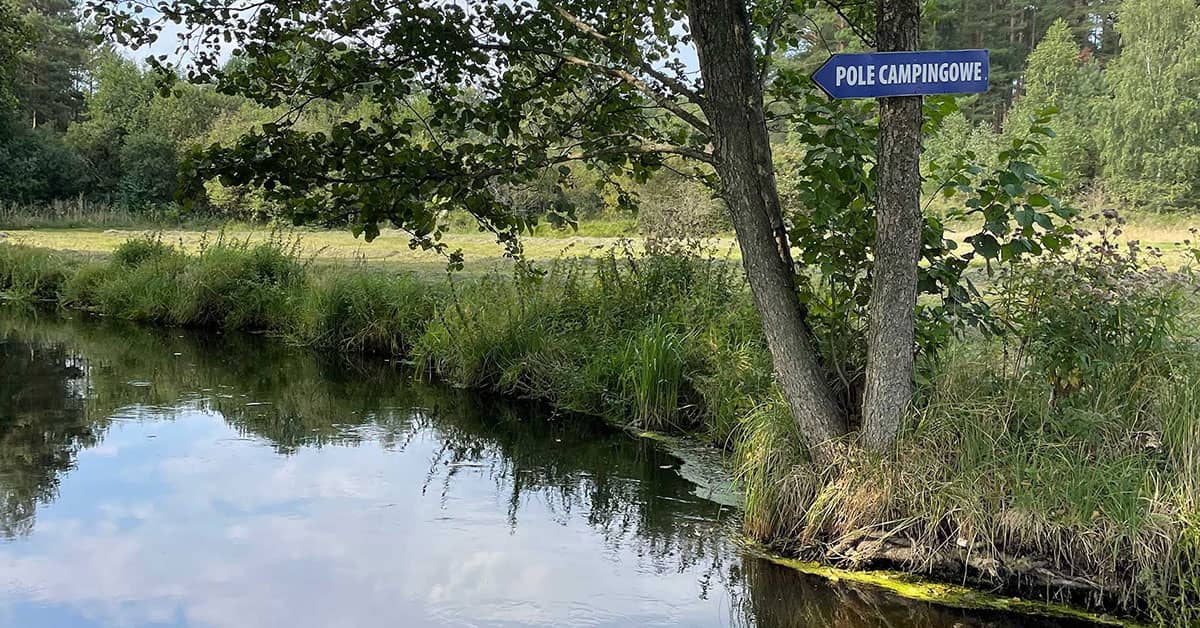 Rzeki Zbrzyca i Chocina czyli Bory Tucholskie widziane z SUP