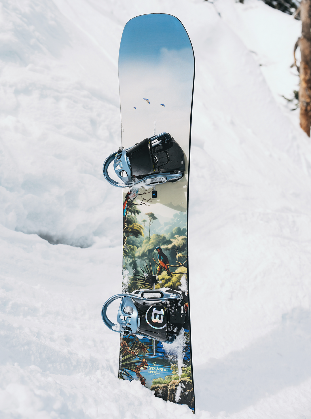 Men's Custom Camber Snowboard