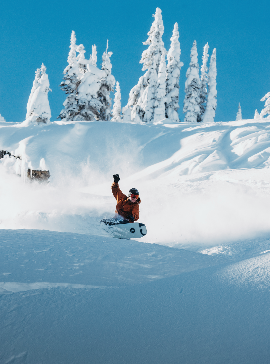Family Tree Hometown Hero Snowboard - X-Ray