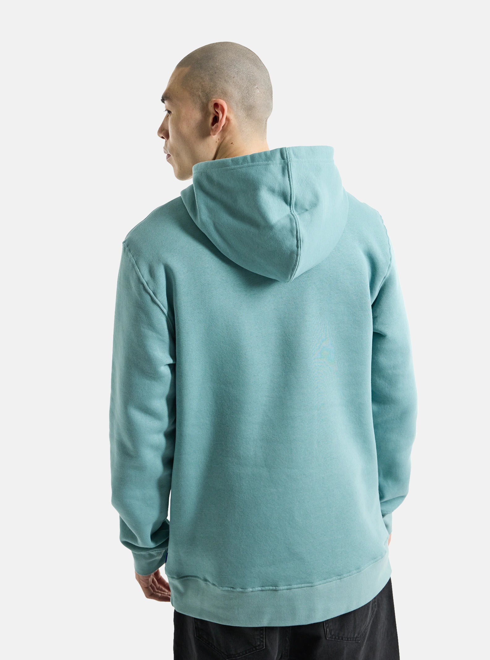 Męska bluza z kapturem Mountain Pullover Hoodie