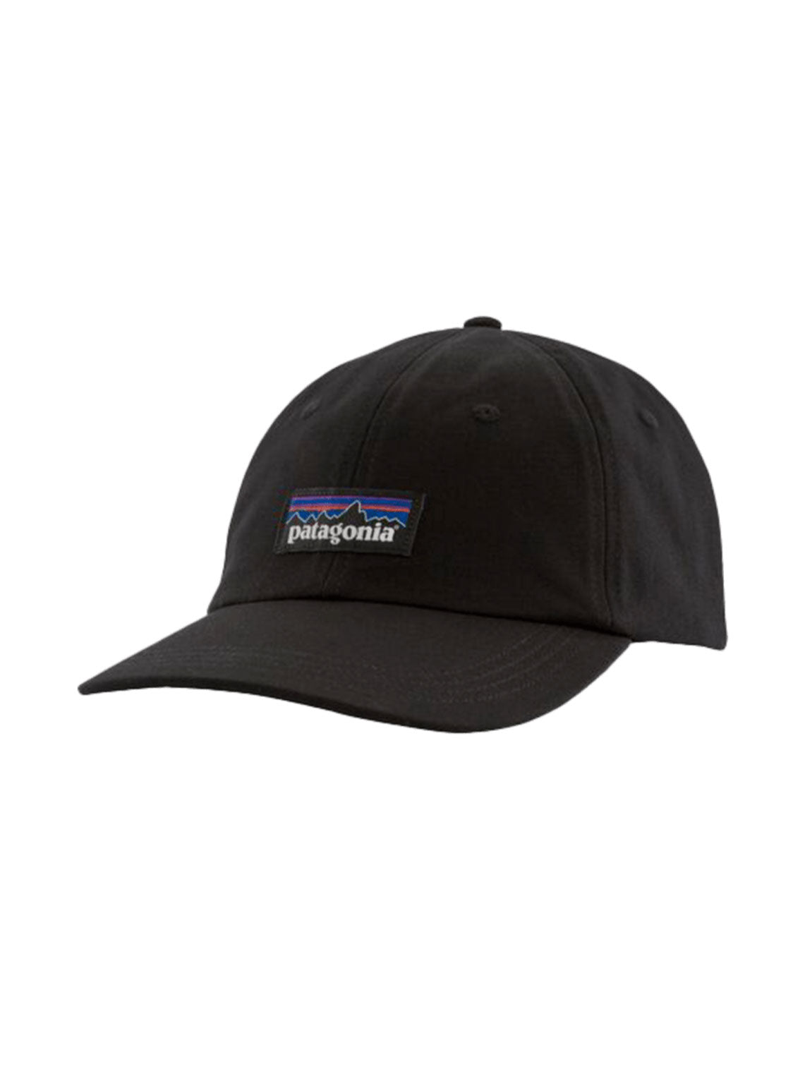 Patagonia P-6 Label Trad Cap