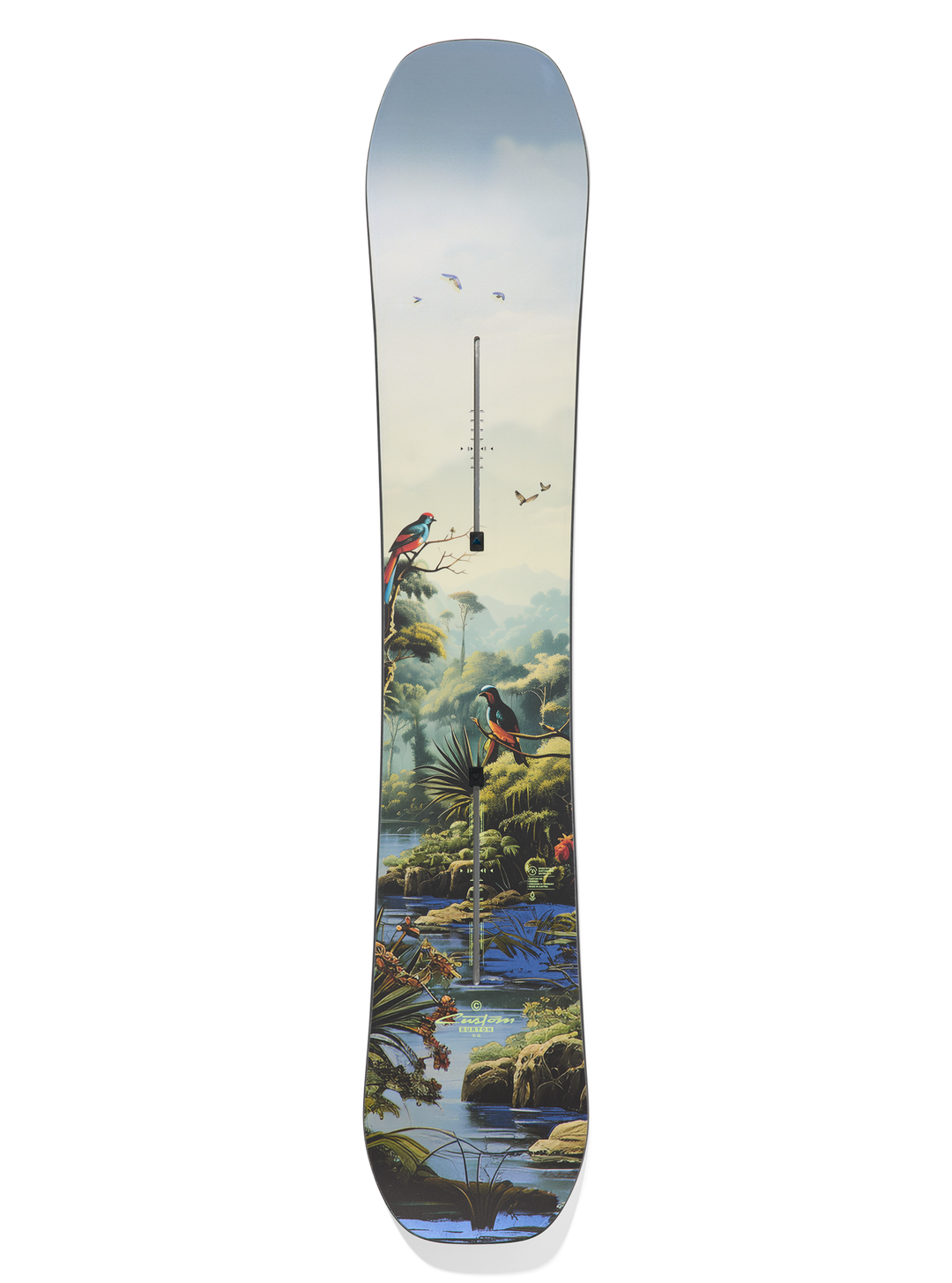 Men's Custom Camber Snowboard