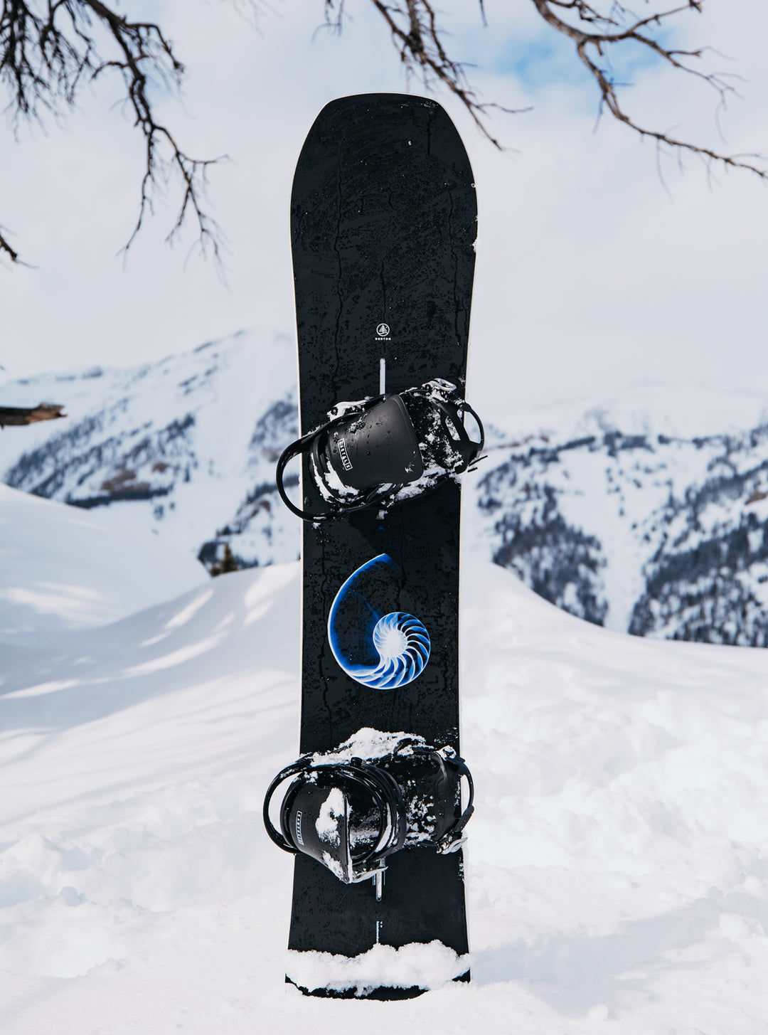 Snowboard Family Tree Hometown Hero