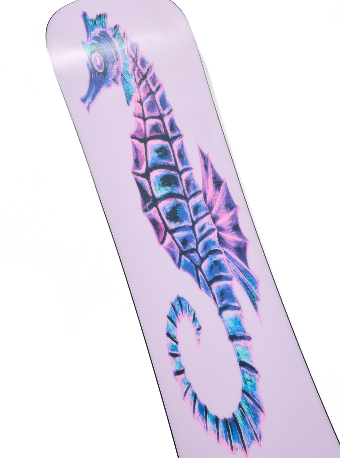 Blossom Camber Snowboard