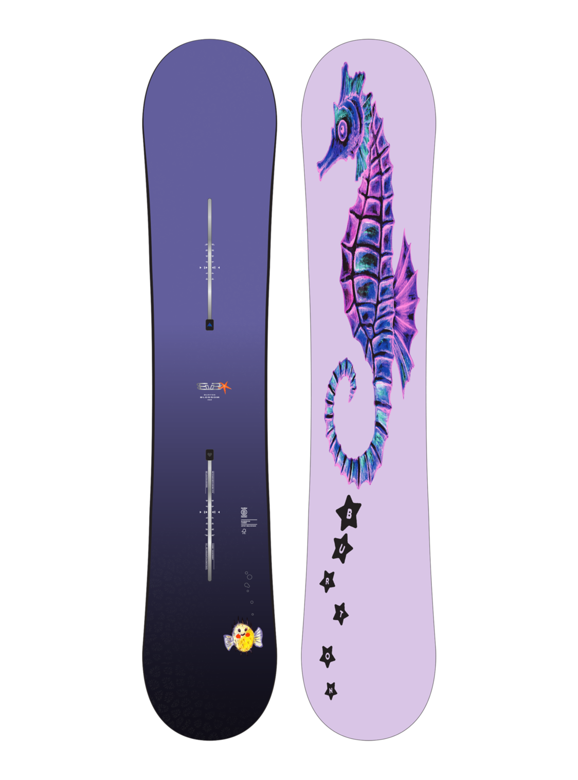 Blossom Camber Snowboard - Seahorse