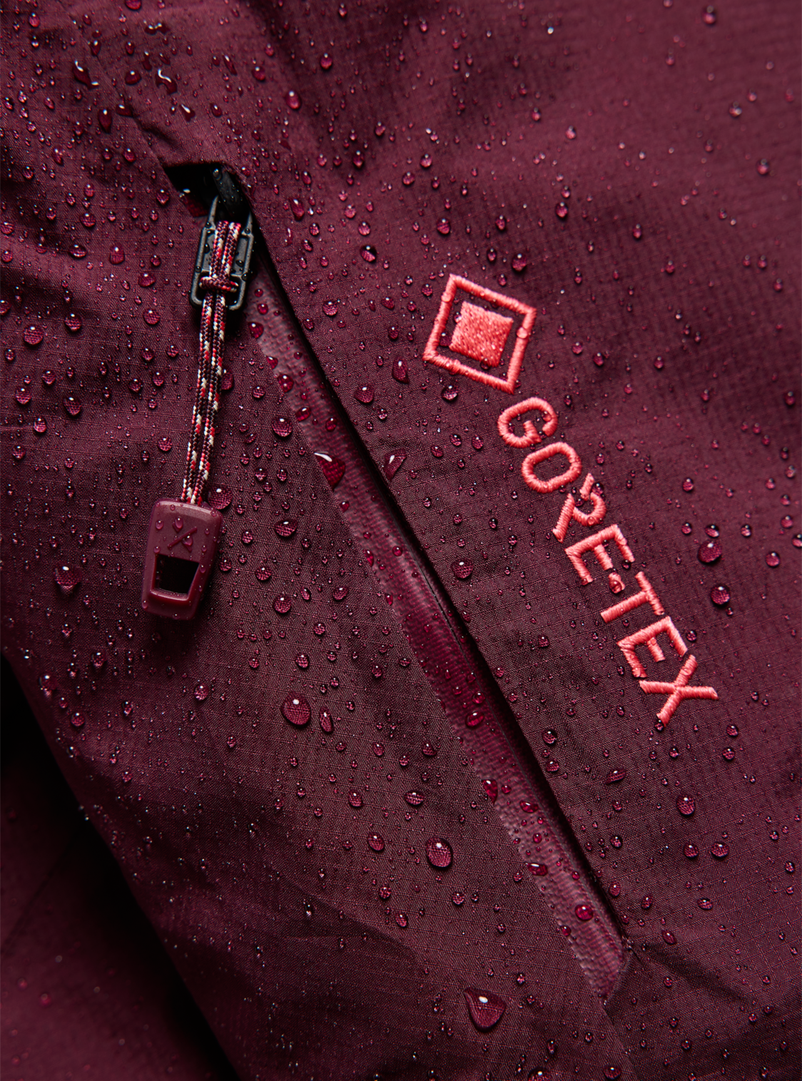 Women's [ak] Swash Down Insulated GORE-TEX 2L Jacket - Rum Raisin