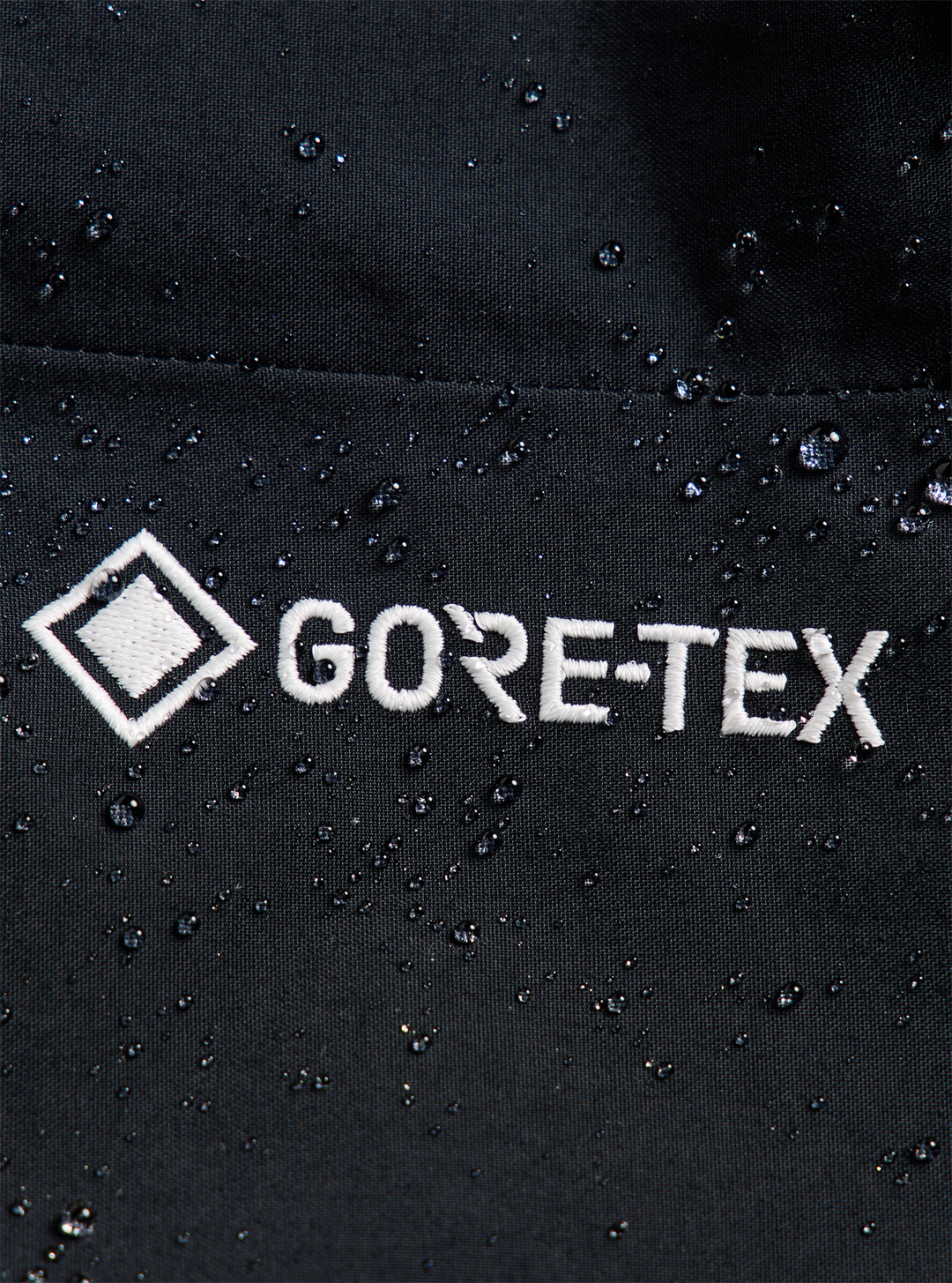 Women's [ak] Insulated Swash GORE-TEX 2L Pants