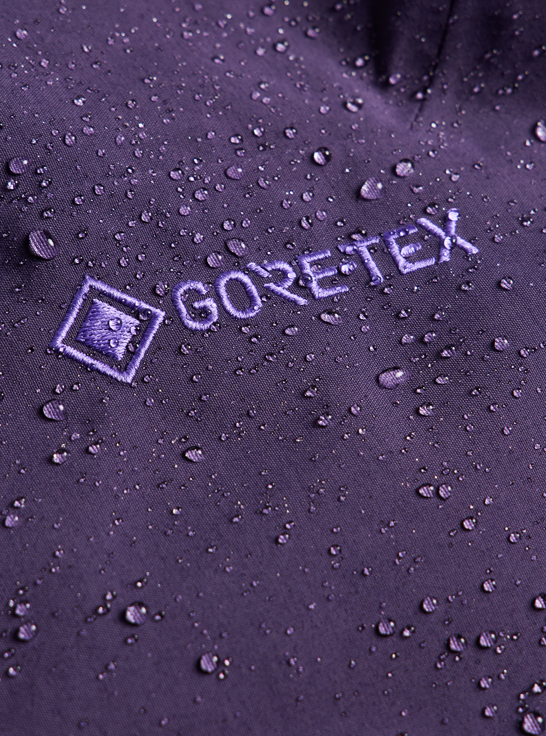 Women's [ak] Insulated Swash GORE-TEX 2L Pants