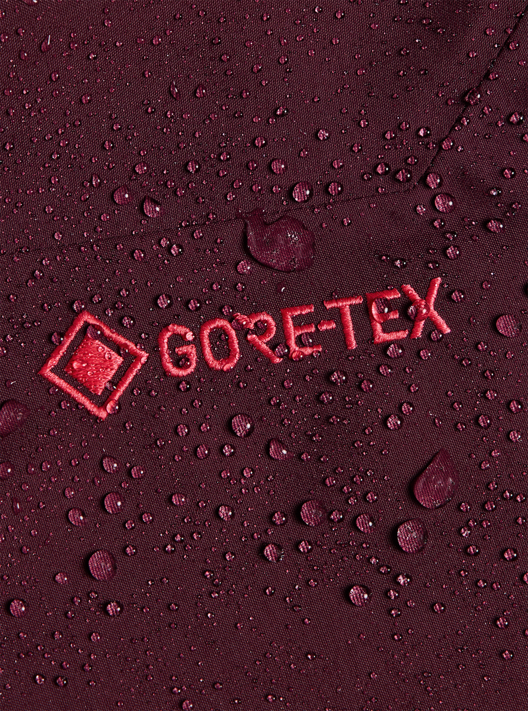 Women's [ak] Cyclic GORE-TEX 2L Pants