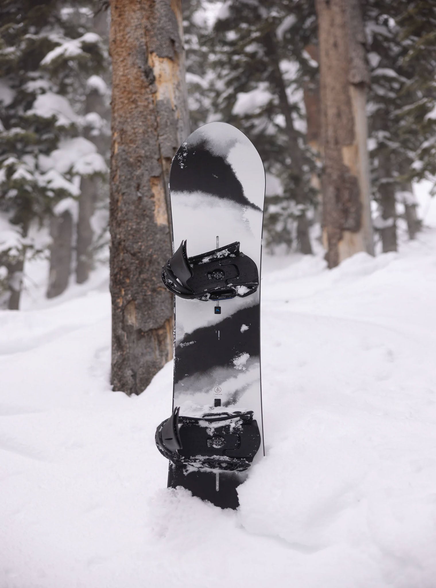 Deska snowboardowa Burton Family Tree Alekesam Camber Snowboard