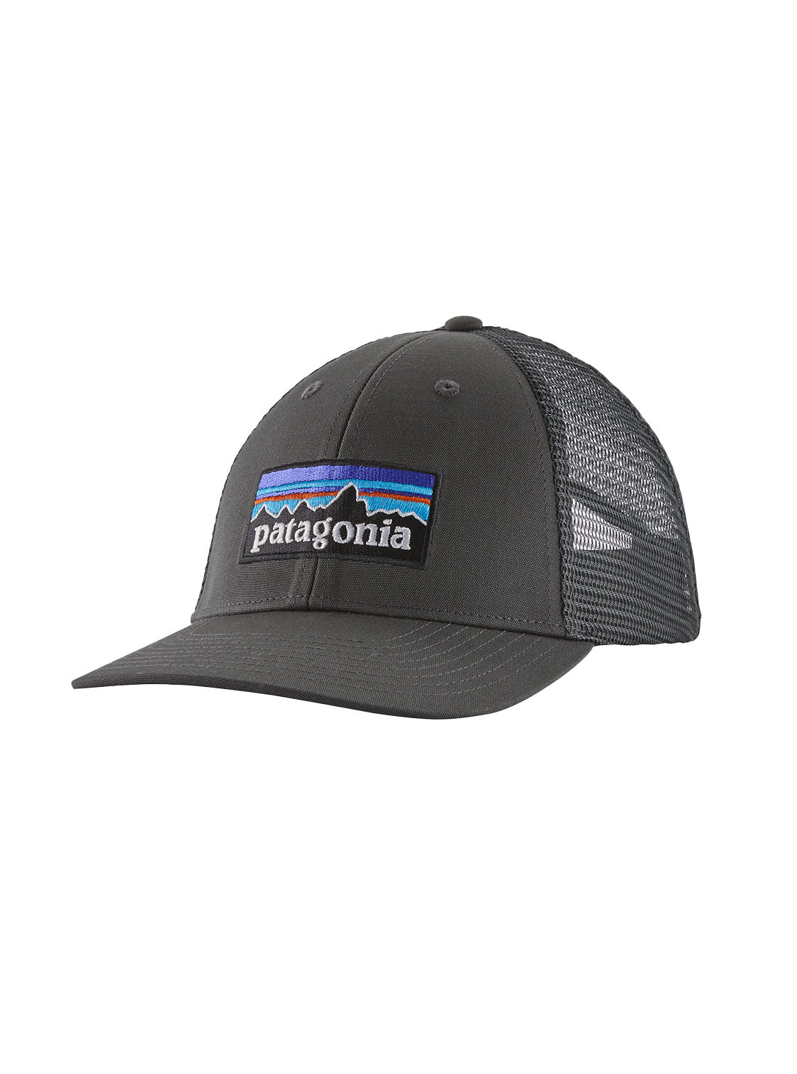 Czapka Patagonia P-6 Logo LoPro Trucker Hat